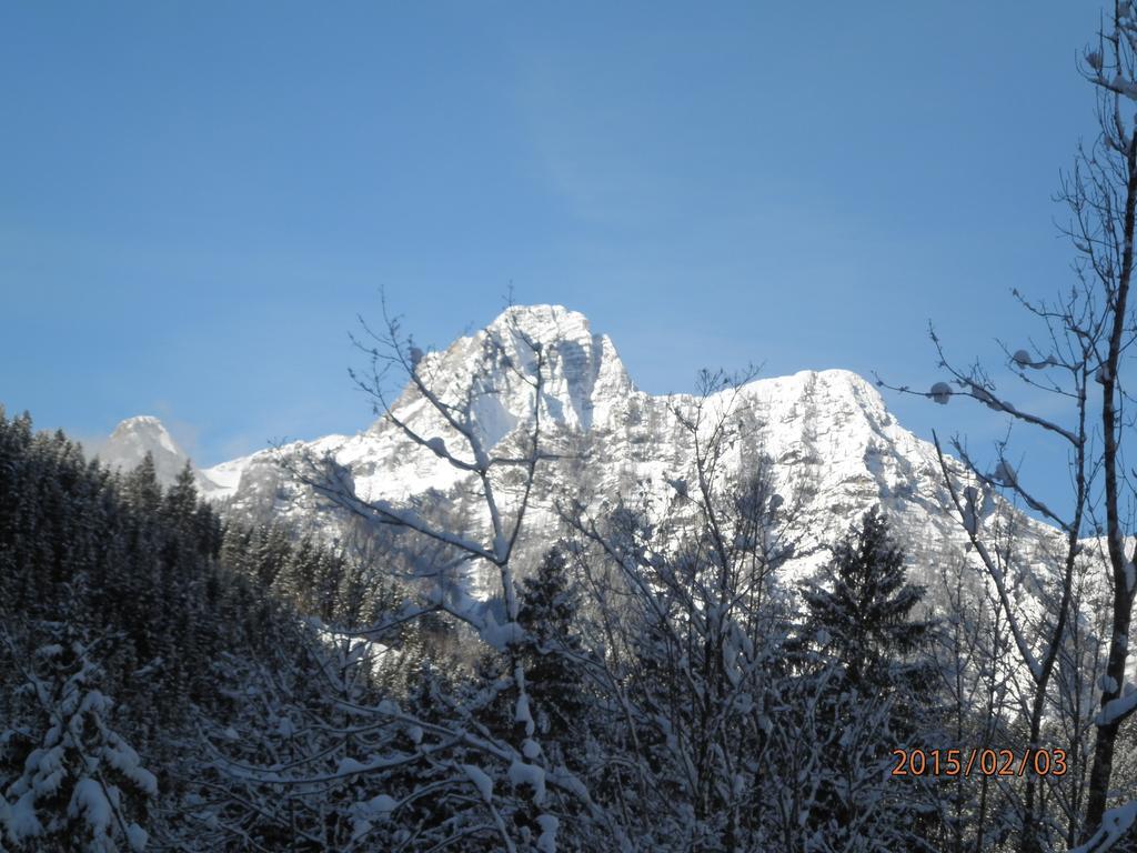 Almurlaub Buchebnerreith, Ferienwohnungen Hinterstoder Extérieur photo