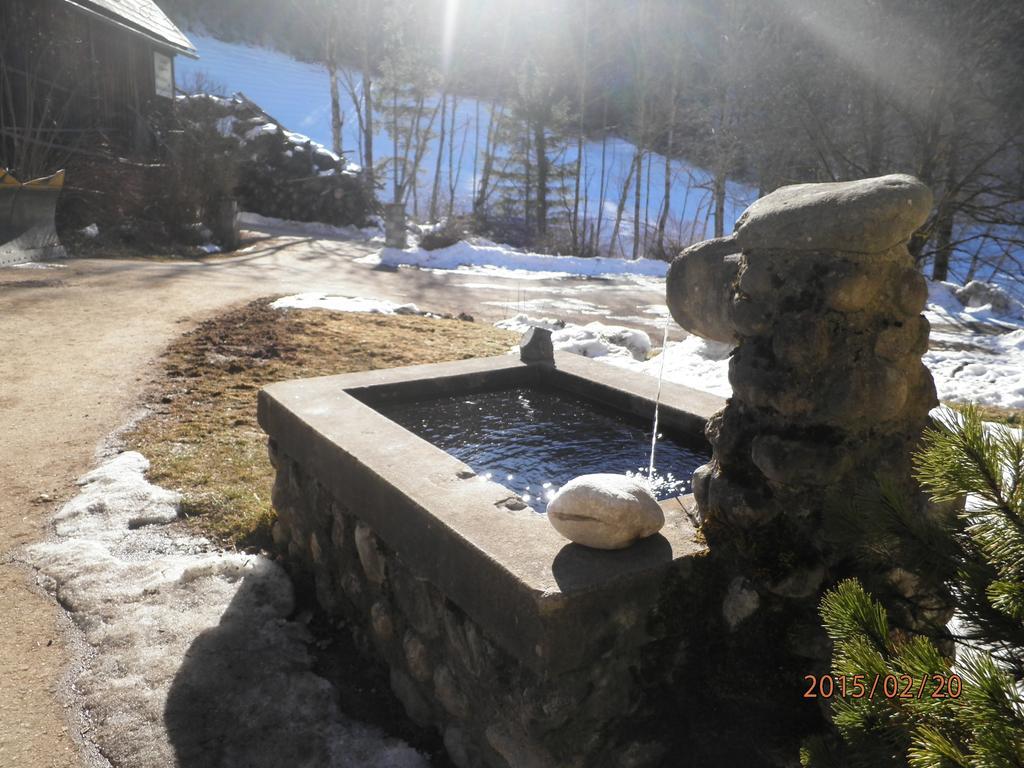 Almurlaub Buchebnerreith, Ferienwohnungen Hinterstoder Extérieur photo